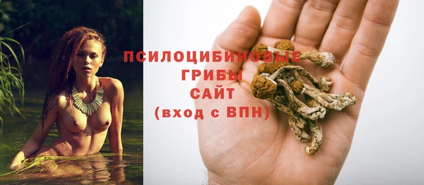 тгк Балабаново